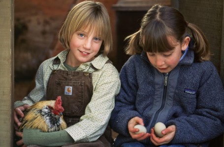 Again, children’s simple joy is an easy picture. My rooster Delbert was glad to assist. ID, Hailey. Egg gathering.