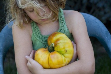 This young grower had a hard time sending her tomato to the Ketchum, ID farmer’s market. ID, Hailey. Autumn bounty.