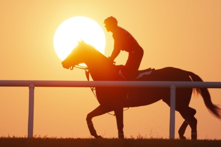 Thoroughbreds are exercised very early before summer’s morning heat sets in. There are twenty-four possible hours in my work day, so a sense of pace and rhythm are important. PA, Fairhill Training Ctr. Thoroughbred exercise at sunrise.