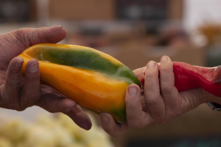 Pepper purchase. Oakland/Berkley Farmer’s Market. CA, Oakland/Berkley. Farmers Market.