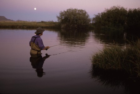 Steve Byker stalking big browns on Silver Creek, Idaho. He will fish well into the dark of night.