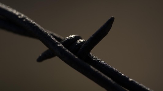 Barbed wire, a standard range management tool, kills thousands of animals every year. MT, Wise River. Barbed wire.