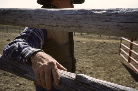 Another shot of hard-working hands, in Snowville, UT. UT, Snowville. Rancher.