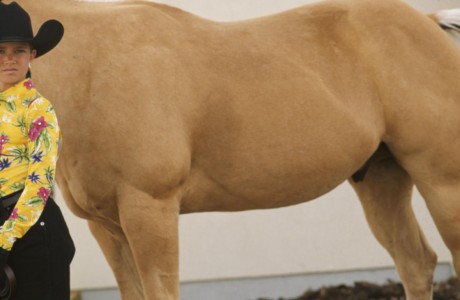The image’s offset framing of this girl and her horse is unusual, and it surprised me that I did it - and it worked. UT, Oakley. Rodeo, gymkhana rider.
