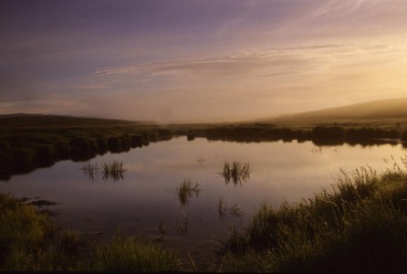 These three Centennial Marsh, ID images were taken from a similar but not identical perspective, possibly on different days. ID, near Fairfield, Centennial Marsh.
