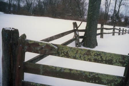 I was studying the work of the painter Andrew Wyeth, when I took this. PA, Unionville. Old post & rail fence.