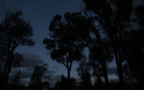 Working at dusk in the grizzly bear rich Ruby Valley, MT is exercise in caution and creativity. MT, Ruby Valley. Dusk in grizzly bear country.