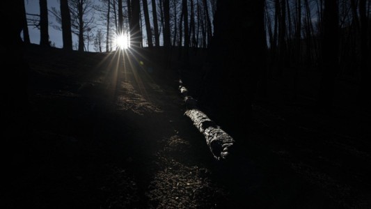 It took me a couple of days to get all of the elements of this image aligned. Bridger Mts., MT after 2020 fire. MT, Bridger Mts. After 2020 fire.