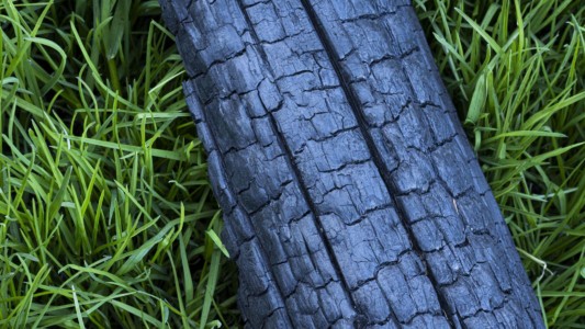 Spring-time after the 2020 forest fire in the Bridger mountains. MT, Bridger Mts. After 2020 fire.