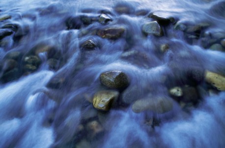 Here, the counterbalance of motion and stillness at the headwaters of the Salmon River. ID, Salmon River headwaters.