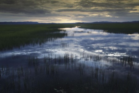 Centennial Marsh, ID. ID, Centennial Marsh.