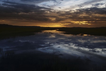 Centennial Marsh, ID - a bit later. ID, Centennial Marsh, a bit later.