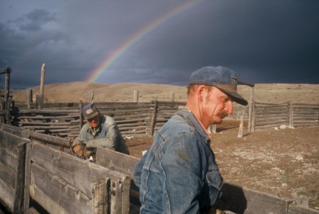 The light and the weather cooperated for a short time at the Chew Ranch sheep pens - Dean Chew and son. UT, Vernal. Chew Ranch, Dean Chew and son.